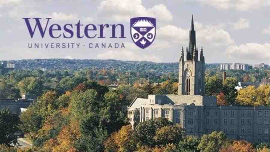 韋仕敦大學課程輔導哪家好