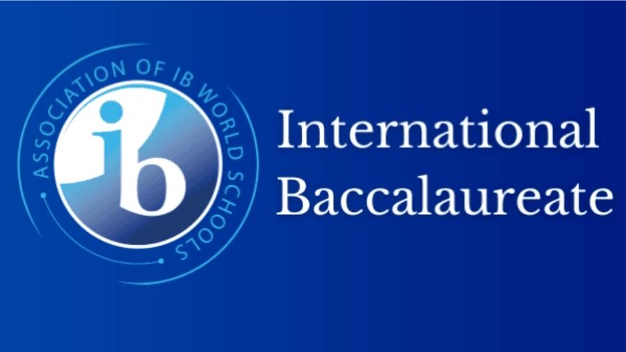 在IB DP中寫出完美論文的5步指南