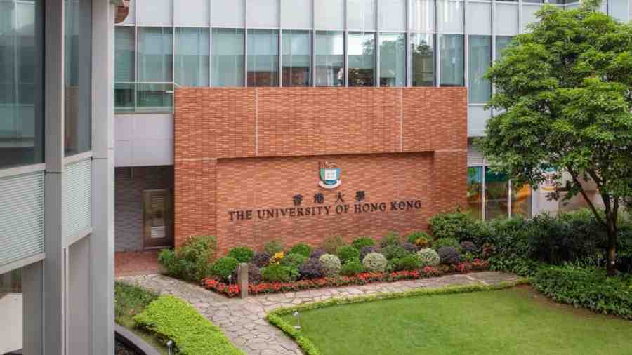 香港大學全球衛(wèi)生與發(fā)展補習全攻略